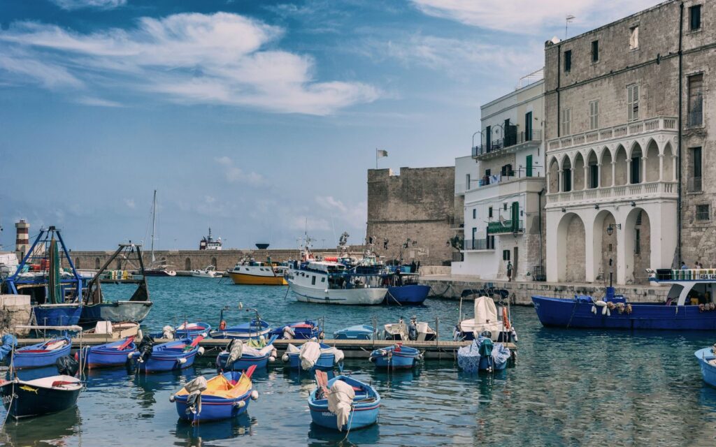 Transfer driver puglia