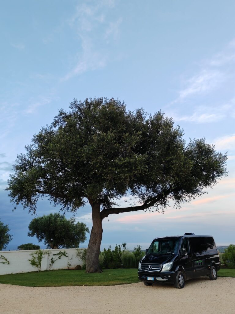 Transportation Service Apulia